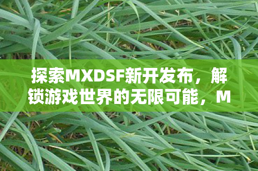探索MXDSF新开发布图片