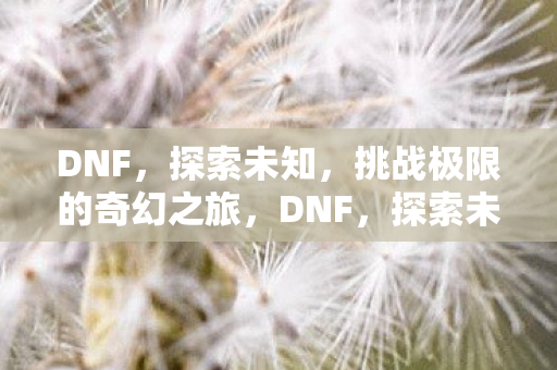 挑战极限的奇幻冒险之旅图片