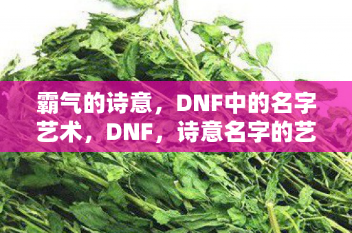 DNF中的名字艺术图片