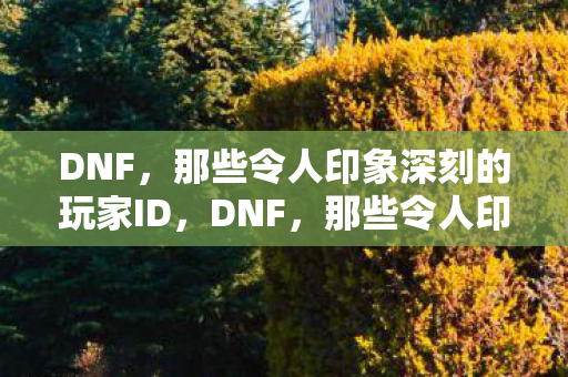 那些令人印象深刻的玩家ID大盘点图片