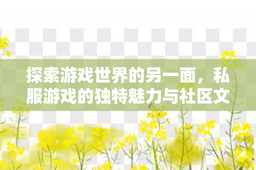 私服游戏的独特魅力与社区文化图片