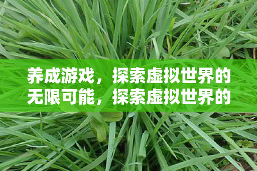 养成游戏，探索虚拟世界的无限可能，探索虚拟世界的无限可能，养成游戏的魅力
