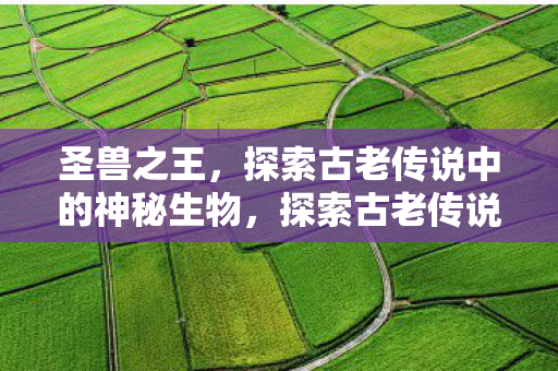 圣兽之王,探索古老传说中的神秘生物,探索古老传说中的神秘生物,圣兽之王 圣兽之王,探索古老传说中的神秘生物,探索古老传说中的神秘生物,圣兽之王