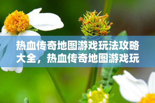 热血传奇地图游戏玩法攻略大全图片