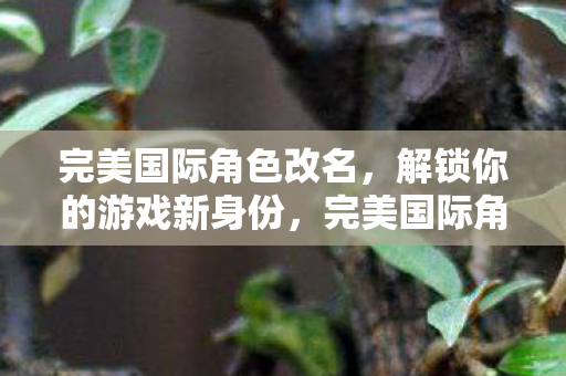 完美国际角色改名,解锁你的游戏新身份,完美国际角色改名,解锁游戏新身份 完美国际角色改名,解锁你的游戏新身份,完美国际角色改名,解锁游戏新身份