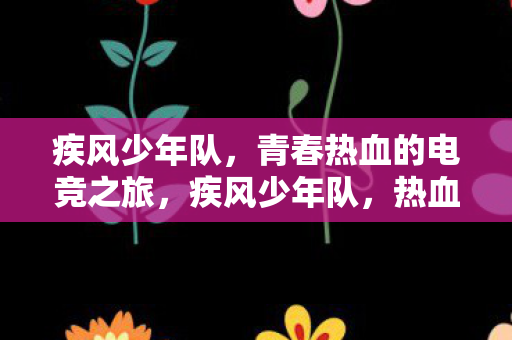 疾风少年队,青春热血的电竞之旅,疾风少年队,热血电竞之旅 疾风少年队,青春热血的电竞之旅,疾风少年队,热血电竞之旅