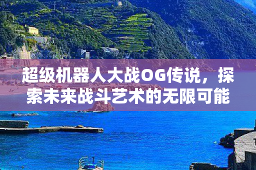 超级机器人大战OG传说，探索未来战斗艺术的无限可能，超级机器人大战OG传说，探索未来战斗艺术的无限可能
