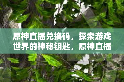 原神直播兑换码,探索游戏世界的神秘钥匙,原神直播兑换码,解锁游戏世界的神秘钥匙 原神直播兑换码,探索游戏世界的神秘钥匙,原神直播兑换码,解锁游戏世界的神秘钥匙