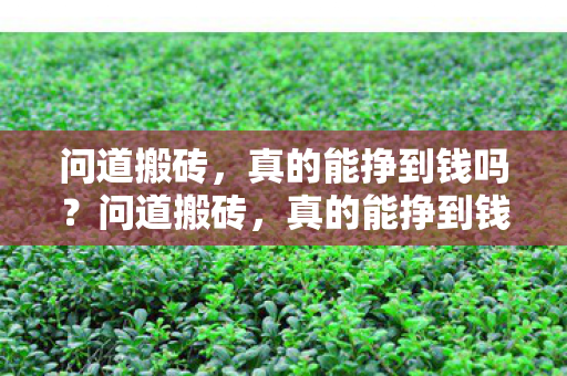 真的能挣到钱吗图片