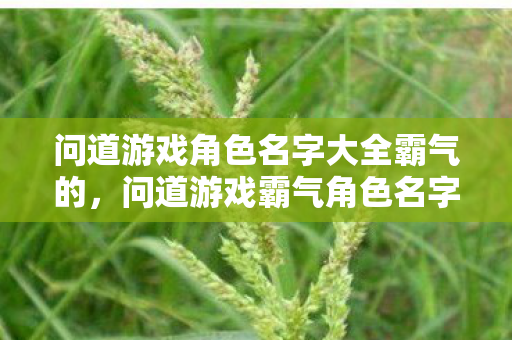 问道游戏角色名字大全霸气的图片