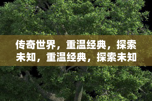 传奇世界的奇幻之旅图片