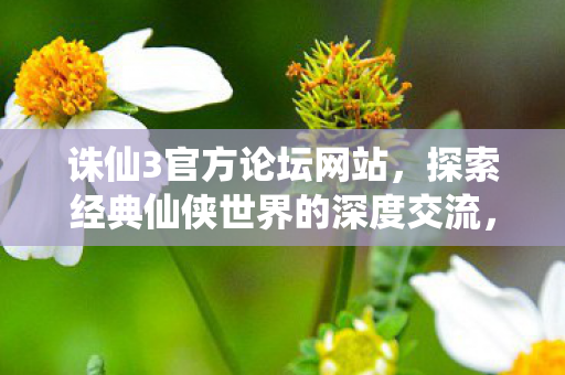 探索经典仙侠世界的深度交流图片