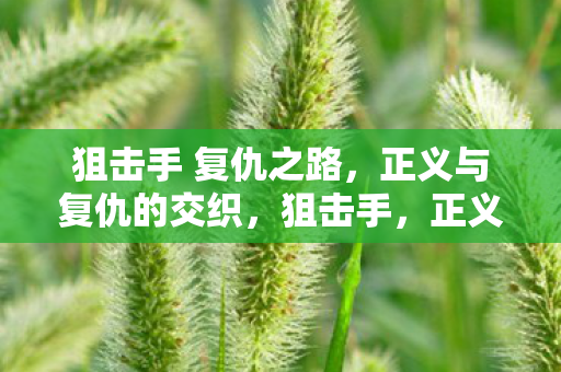 狙击手 复仇之路，正义与复仇的交织，狙击手，正义与复仇的复仇之路