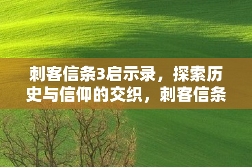刺客信条3启示录,探索历史与信仰的交织,刺客信条3,启示录探索历史与信仰的交织 刺客信条3启示录,探索历史与信仰的交织,刺客信条3,启示录探索历史与信仰的交织