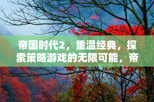帝国时代2,重温经典,探索策略游戏的无限可能,帝国时代2,重温经典,探索策略游戏无限可能 帝国时代2,重温经典,探索策略游戏的无限可能,帝国时代2,重温经典,探索策略游戏无限可能