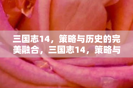 三国志14,策略与历史的完美融合,三国志14,策略与历史的完美融合 三国志14,策略与历史的完美融合,三国志14,策略与历史的完美融合