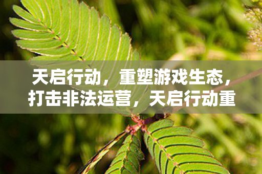 天启行动,重塑游戏生态,打击非法运营,天启行动重塑游戏生态,严厉打击非法运营 天启行动,重塑游戏生态,打击非法运营,天启行动重塑游戏生态,严厉打击非法运营