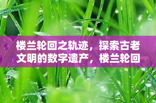 楼兰轮回之轨迹，探索古老文明的数字遗产，楼兰轮回，探索古老文明的数字遗产之旅