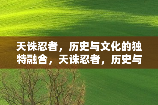 天诛忍者,历史与文化的独特融合,天诛忍者,历史与文化的独特融合 天诛忍者,历史与文化的独特融合,天诛忍者,历史与文化的独特融合