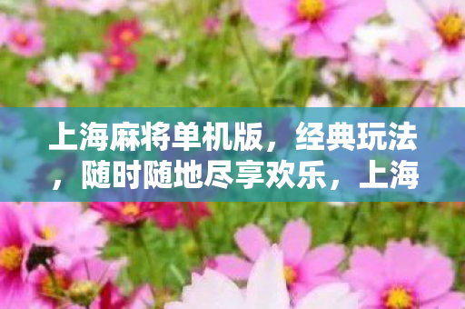 随时随地尽享欢乐图片