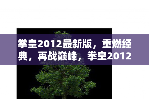拳皇2012最新版图片