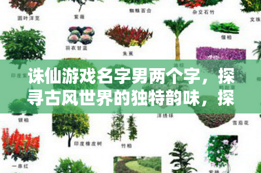诛仙游戏名字男两个字,探寻古风世界的独特韵味,探寻古风韵味,诛仙游戏名字男两个字 诛仙游戏名字男两个字,探寻古风世界的独特韵味,探寻古风韵味,诛仙游戏名字男两个字