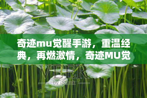 奇迹mu觉醒手游,重温经典,再燃激情,奇迹MU觉醒手游,重温经典,再燃激情 奇迹mu觉醒手游,重温经典,再燃激情,奇迹MU觉醒手游,重温经典,再燃激情