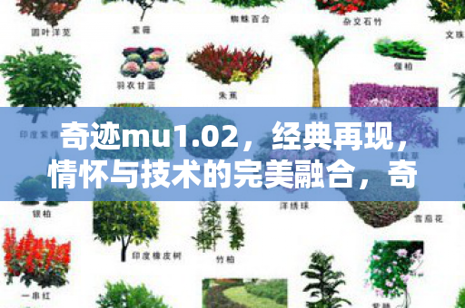 奇迹mu1.02,经典再现,情怀与技术的完美融合,奇迹mu1.02,经典再现,情怀与技术的完美融合 奇迹mu1.02,经典再现,情怀与技术的完美融合,奇迹mu1.02,经典再现,情怀与技术的完美融合