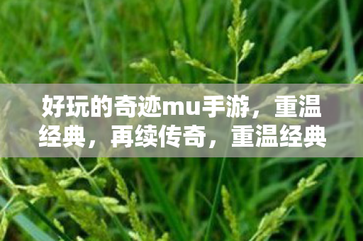好玩的奇迹mu手游,重温经典,再续传奇,重温经典奇迹MU手游,再续传奇之旅 好玩的奇迹mu手游,重温经典,再续传奇,重温经典奇迹MU手游,再续传奇之旅