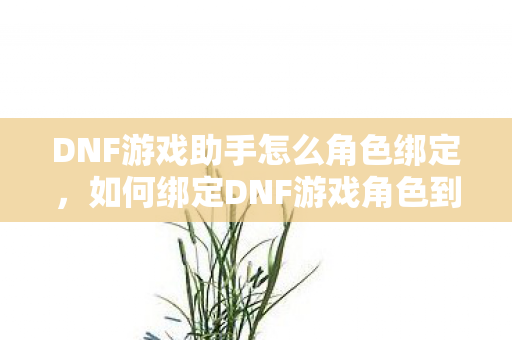 如何绑定DNF游戏角色到DNF游戏助手图片
