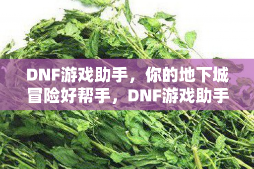 助力你的地下城冒险之旅图片
