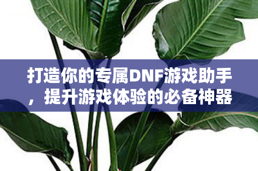 打造你的专属DNF游戏助手图片