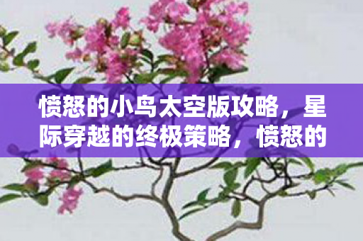 愤怒的小鸟太空版攻略,星际穿越的终极策略,愤怒的小鸟太空版星际穿越攻略,终极策略揭秘 愤怒的小鸟太空版攻略,星际穿越的终极策略,愤怒的小鸟太空版星际穿越攻略,终极策略揭秘