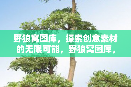 野狼窝图库,探索创意素材的无限可能,野狼窝图库,解锁创意素材的无限可能 野狼窝图库,探索创意素材的无限可能,野狼窝图库,解锁创意素材的无限可能