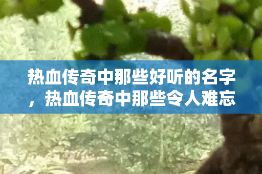 热血传奇中那些令人难忘的姓名图片