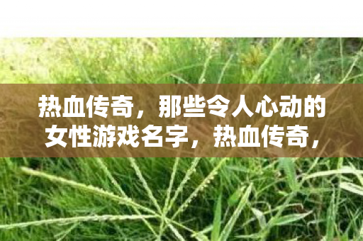 令人心动的女性游戏名字大盘点图片