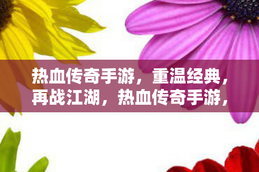 热血传奇手游图片