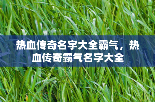 热血传奇名字大全霸气图片