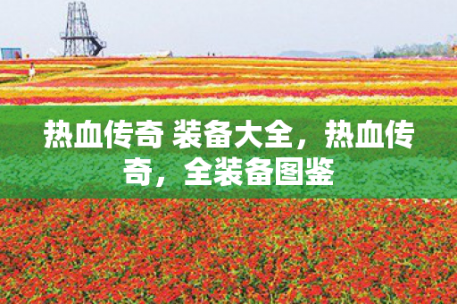 热血传奇 装备大全图片