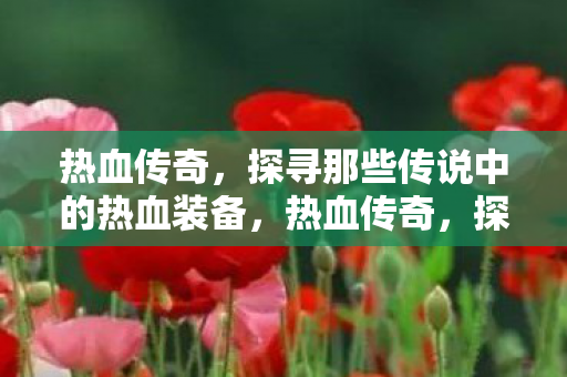 探寻那些传说中的热血装备图片