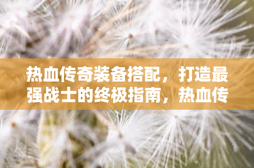 打造最强战士的终极装备搭配指南图片