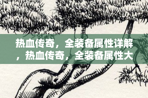 全装备属性大揭秘图片