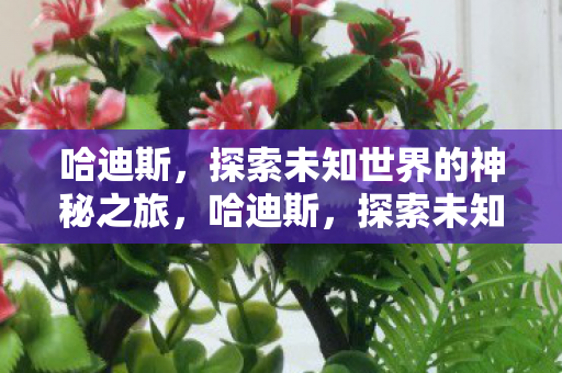 哈迪斯,探索未知世界的神秘之旅,哈迪斯,探索未知世界的神秘之旅 哈迪斯,探索未知世界的神秘之旅,哈迪斯,探索未知世界的神秘之旅