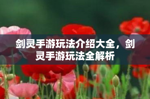 剑灵手游玩法介绍大全,剑灵手游玩法全解析 剑灵手游玩法介绍大全,剑灵手游玩法全解析