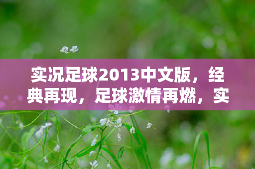 实况足球2013中文版，经典再现，足球激情再燃，实况足球2013中文版，经典再现，足球激情再燃