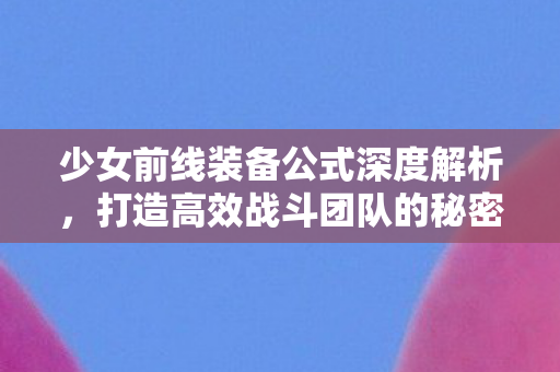 少女前线装备公式深度解析,打造高效战斗团队的秘密武器,揭秘少女前线装备公式,打造高效战斗团队的秘密武器 少女前线装备公式深度解析,打造高效战斗团队的秘密武器,揭秘少女前线装备公式,打造高效战斗团队的秘密武器