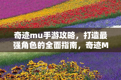 奇迹mu手游攻略,打造最强角色的全面指南,奇迹MU手游,打造最强角色的全面攻略 奇迹mu手游攻略,打造最强角色的全面指南,奇迹MU手游,打造最强角色的全面攻略