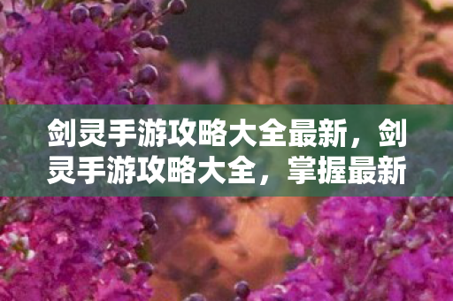 剑灵手游攻略大全最新,剑灵手游攻略大全,掌握最新技巧,助你称霸游戏世界! 剑灵手游攻略大全最新,剑灵手游攻略大全,掌握最新技巧,助你称霸游戏世界!