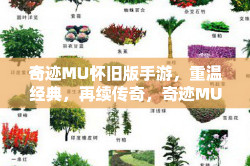 奇迹MU怀旧版手游,重温经典,再续传奇,奇迹MU怀旧版手游,重温经典,再续传奇之旅 奇迹MU怀旧版手游,重温经典,再续传奇,奇迹MU怀旧版手游,重温经典,再续传奇之旅