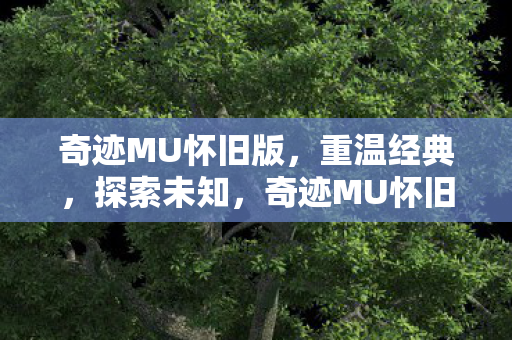 奇迹MU怀旧版,重温经典,探索未知,奇迹MU怀旧版,重温经典,探索未知 奇迹MU怀旧版,重温经典,探索未知,奇迹MU怀旧版,重温经典,探索未知